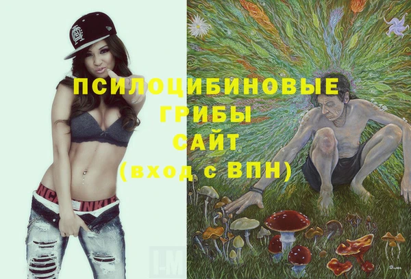 мет Арсеньев